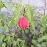 펜션 Quinta Do Pontido 비에이라도미노